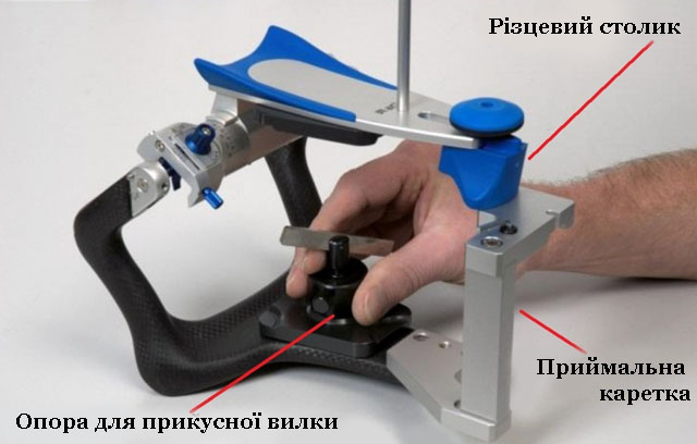 39 Артикуляція