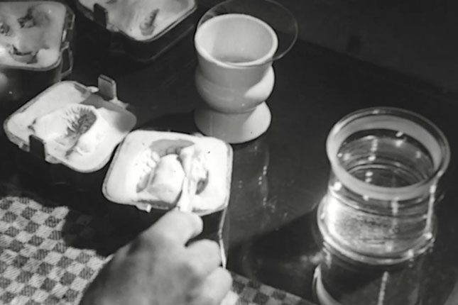 23 Пластмаса